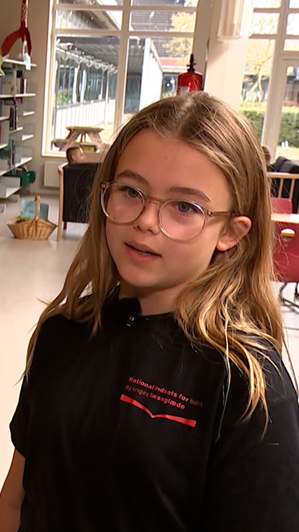 l-sekrise-p-vemmelev-skole-er-der-rift-om-b-gerne-dr