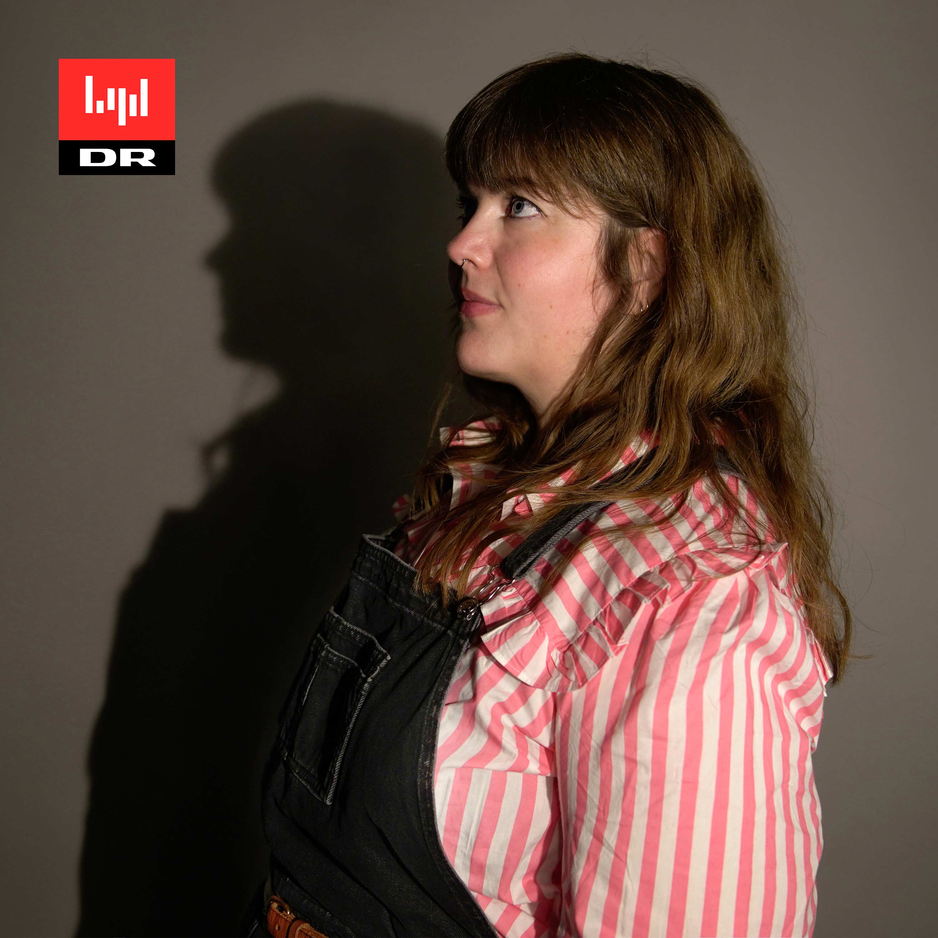 I skyggen af... af DR