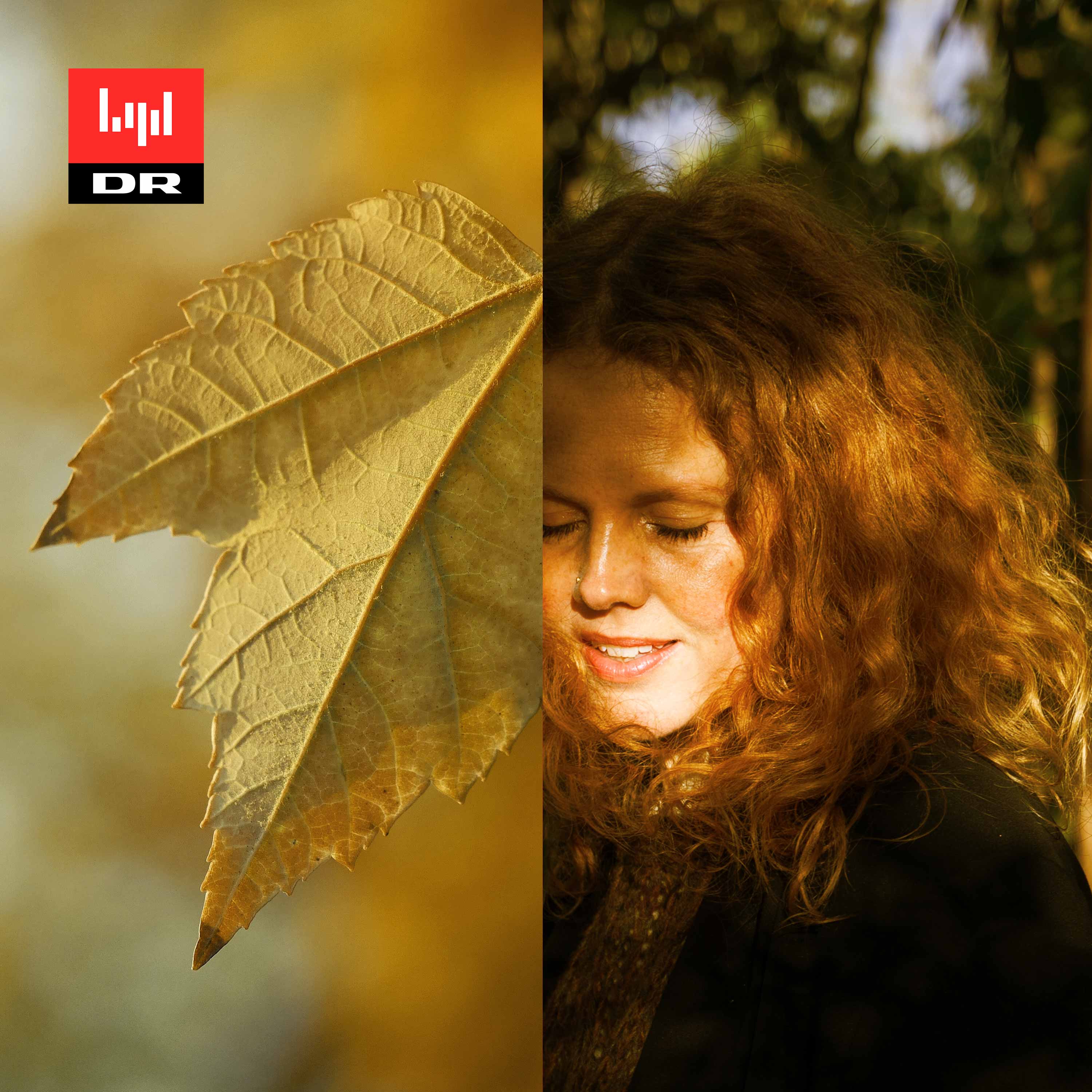 Hvert år i oktober af DR