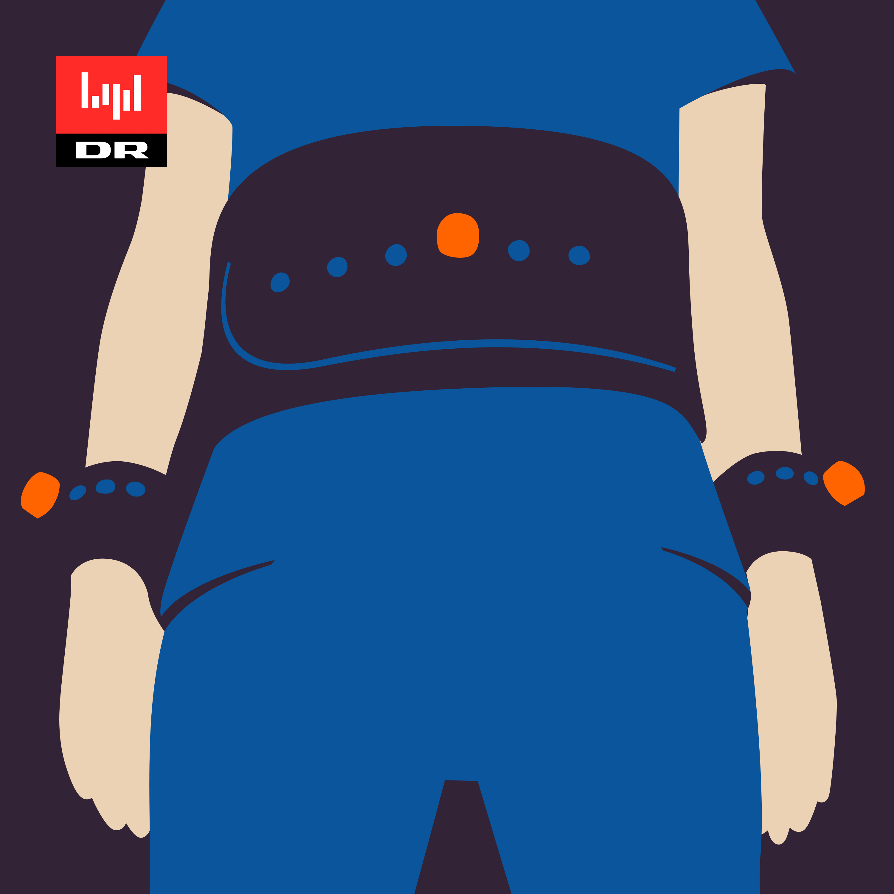 Det perfekte offer af DR