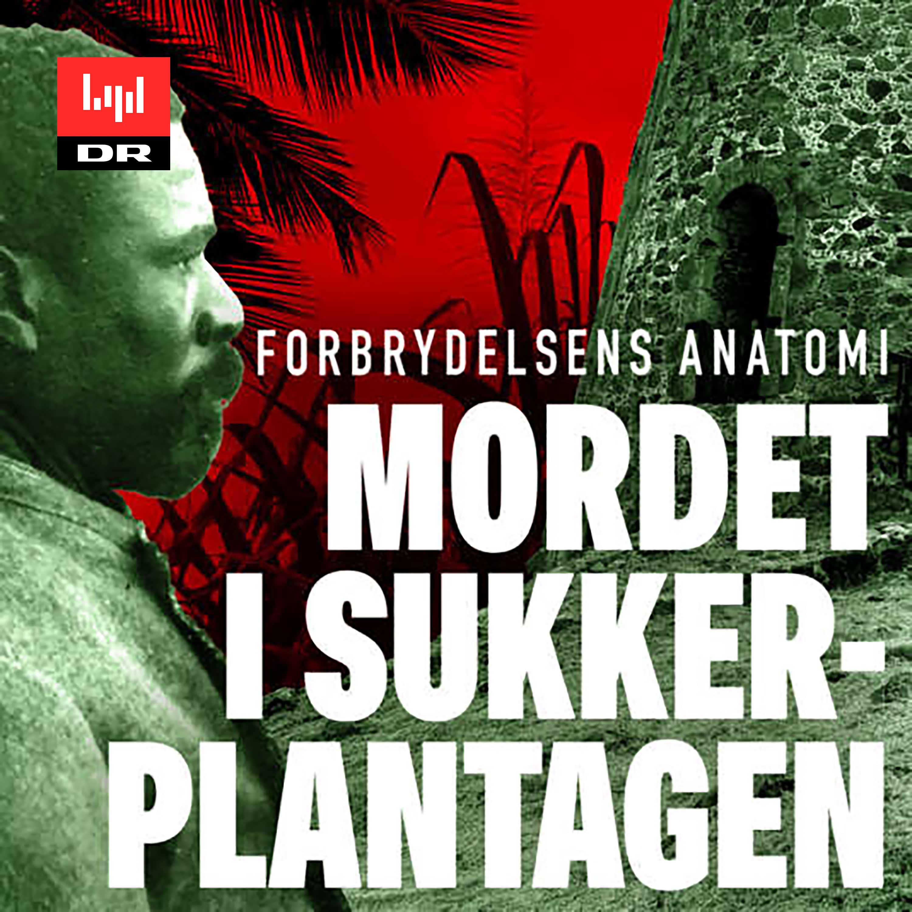 Forbrydelsens Anatomi