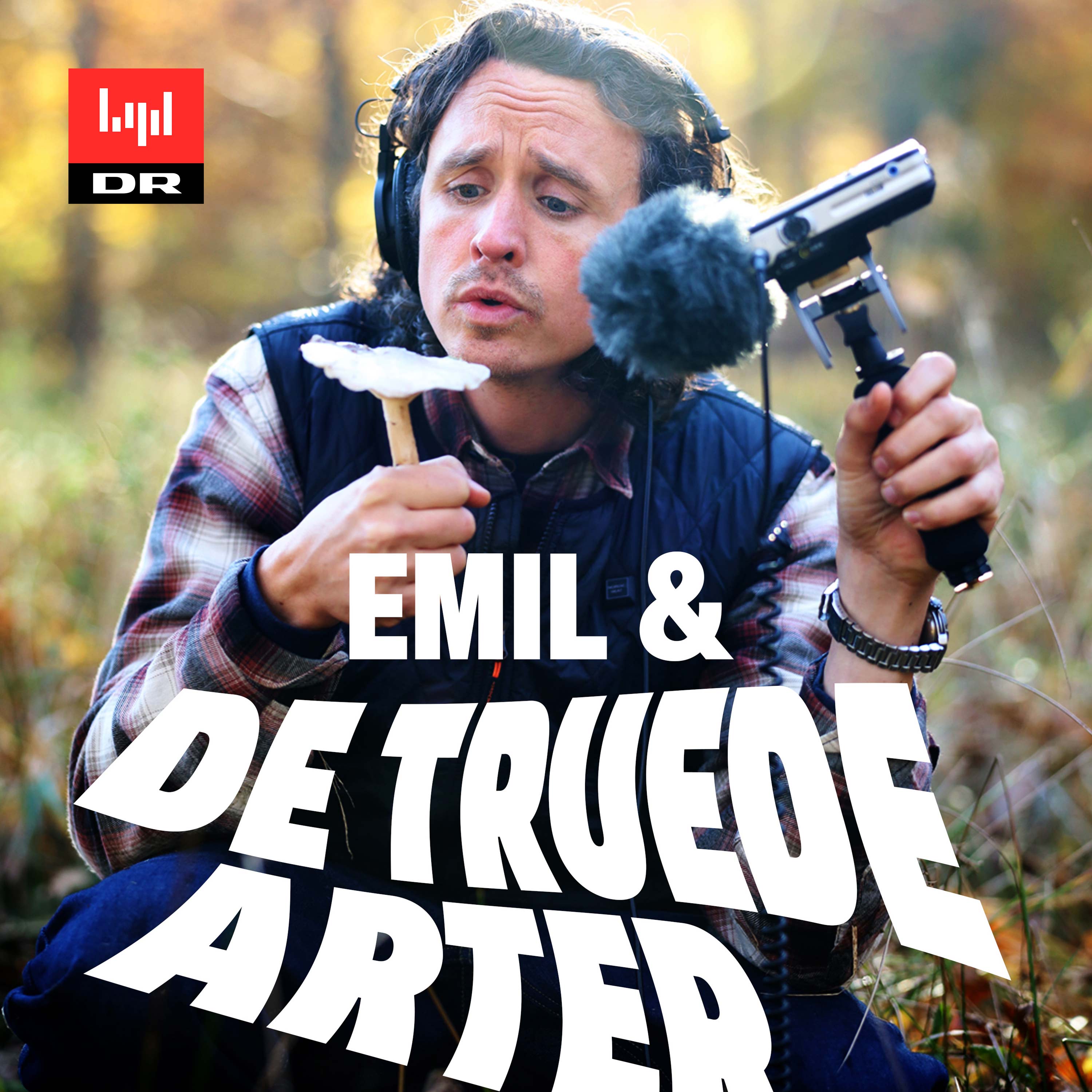 Emil & de truede arter